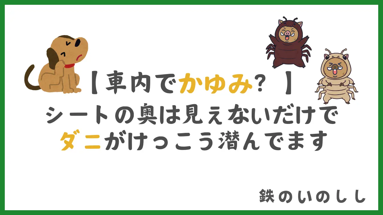車に乗ると体がかゆい?それ、ダニやノミかも|簡単にできる車内対策まとめ